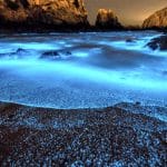 El calentamiento global podría cambiar la bioluminiscencia del océano